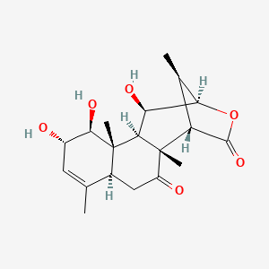 molecular formula C19H26O6 B1217631 Eurycolactone E 