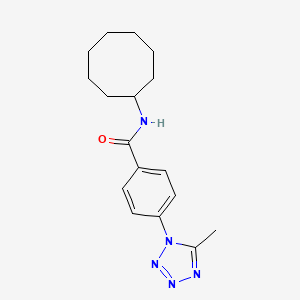 molecular formula C17H23N5O B12177191 N-cyclooctyl-4-(5-methyl-1H-tetrazol-1-yl)benzamide 