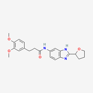 molecular formula C22H25N3O4 B12178262 3-(3,4-dimethoxyphenyl)-N-[2-(tetrahydrofuran-2-yl)-1H-benzimidazol-5-yl]propanamide 