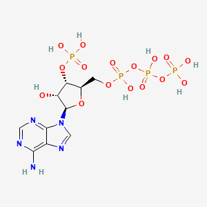 molecular formula C10H17N5O16P4 B1217996 Adenosine triphosphate monophosphate CAS No. 23339-44-8