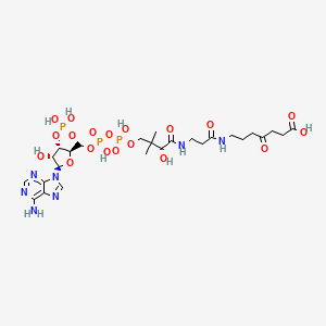 molecular formula C26H42N7O19P3 B1218032 Succinyl(carbadethia)-coenzyme A 