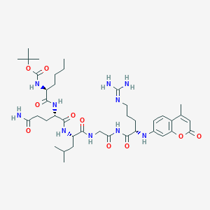 molecular formula C40H62N10O10 B1218081 tert-Butyloxycarbonyl-norleucyl-glutaminyl-leucyl-glycyl-arginine-7-amino-4-methylcoumarin CAS No. 81943-91-1