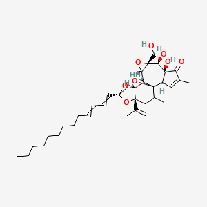 molecular formula C34H48O8 B1218095 (2R,6S,7S,8R,10S,11S,12R,14S,16R)-6,7-dihydroxy-8-(hydroxymethyl)-4,18-dimethyl-16-prop-1-en-2-yl-14-trideca-1,3-dienyl-9,13,15,19-tetraoxahexacyclo[12.4.1.01,11.02,6.08,10.012,16]nonadec-3-en-5-one 