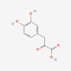 molecular formula C9H8O5 B1218158 3,4-Dihydroxyphenylpyruvic acid CAS No. 4228-66-4