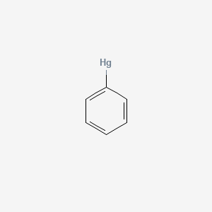 molecular formula C6H5Hg B1218190 Phenylmercury CAS No. 23172-37-4