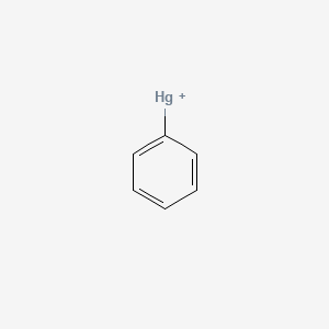 molecular formula C6H5Hg+ B1218198 Phenylmercury(1+) 