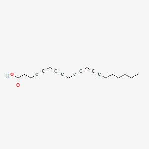 molecular formula C20H24O2 B1218260 4,7,10,13-Eicosatetraynoic acid CAS No. 77178-73-5