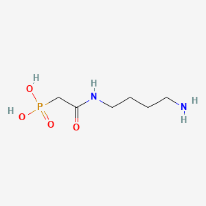 molecular formula C6H15N2O4P B1218272 N-(Phosphonoacetyl)putrescine CAS No. 67023-07-8
