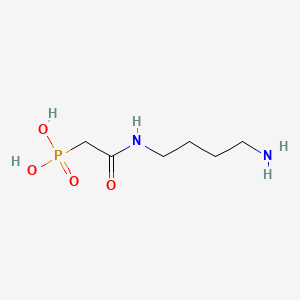 molecular formula C6H15N2O4P B1218272 N-(Phosphonoacetyl)-Putrescine CAS No. 67023-07-8