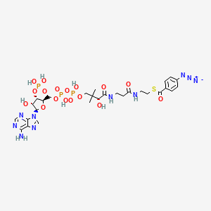 molecular formula C28H39N10O17P3S B1218314 p-Azidobenzoyl-coa CAS No. 63550-94-7