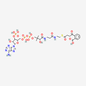 molecular formula C32H44N7O20P3S B1218537 2-[4-[2-[3-[[4-[[[5-(6-Aminopurin-9-yl)-4-hydroxy-3-phosphonooxyoxolan-2-yl]methoxy-hydroxyphosphoryl]oxy-hydroxyphosphoryl]oxy-2-hydroxy-3,3-dimethylbutanoyl]amino]propanoylamino]ethylsulfanyl]-4-oxobutanoyl]benzoic acid CAS No. 97226-61-4