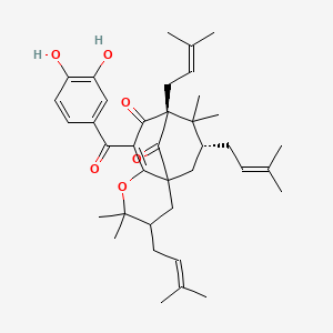 molecular formula C38H50O6 B1218575 9H-4a,8-Methano-2H-cycloocta(b)pyran-9,11-dione, 10-(3,4-dihydroxybenzoyl)-3,4,5,6,7,8-hexahydro-2,2,7,7-tetramethyl-3,6,8-tris(3-methyl-2-butenyl)-, (3R,4aR,6R,8S)- CAS No. 52617-33-1