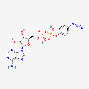 B1218613 [[(2R,3S,4R,5R)-5-(6-aminopurin-9-yl)-3,4-dihydroxyoxolan-2-yl]methoxy-hydroxyphosphoryl] (4-azidophenyl) hydrogen phosphate CAS No. 76611-59-1
