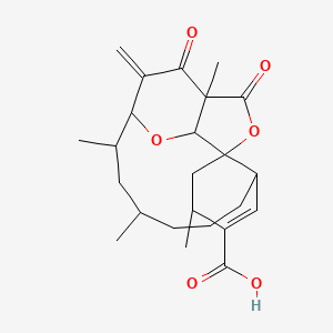 molecular formula C24H32O6 B1218711 1,5,11,13-Tetramethyl-16-methylidene-2,17-dioxo-1,4,5,7a,8,9,10,11,12,13,14,15a-dodecahydro-2h-1,14-ethanofuro[2,3-o][2]benzoxacycloundecine-6-carboxylic acid 