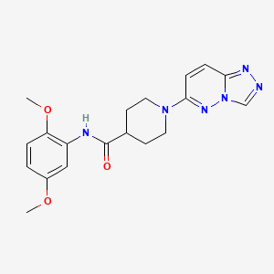 molecular formula C19H22N6O3 B12188931 N-(2,5-dimethoxyphenyl)-1-([1,2,4]triazolo[4,3-b]pyridazin-6-yl)piperidine-4-carboxamide 
