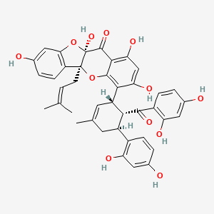 molecular formula C40H36O12 B1218906 Cathayanon A 
