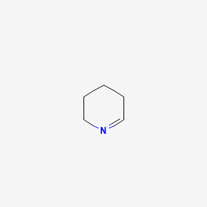 molecular formula C5H9N B1218934 1-Piperideine CAS No. 505-18-0