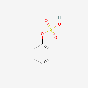 molecular formula C6H6O4S B1218960 Phenyl hydrogen sulfate CAS No. 937-34-8