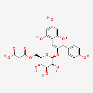 molecular formula C24H23O13+ B1219129 Pelargonidin 3-O-(6-O-malonyl-beta-D-glucoside) CAS No. 165070-68-8