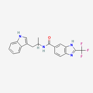 molecular formula C20H17F3N4O B12191690 N-[1-(1H-indol-3-yl)propan-2-yl]-2-(trifluoromethyl)-1H-benzimidazole-5-carboxamide 
