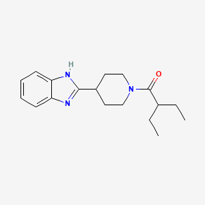 molecular formula C18H25N3O B12194779 1-[4-(1H-benzimidazol-2-yl)piperidin-1-yl]-2-ethylbutan-1-one 