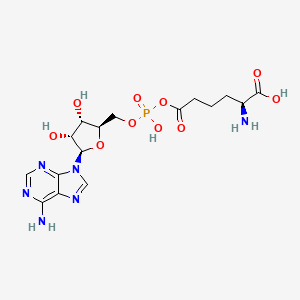 L-2-Aminoadipate adenylate