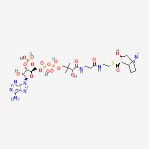 molecular formula C30H49N8O18P3S B1219721 Pseudoecgonyl-CoA 