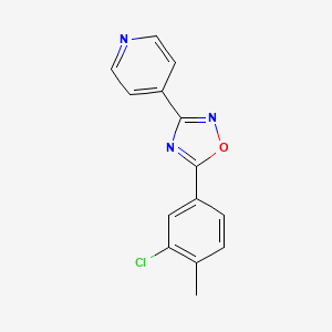 molecular formula C14H10ClN3O B1219727 5-(3-Chloro-4-methylphenyl)-3-pyridin-4-yl-1,2,4-oxadiazole 
