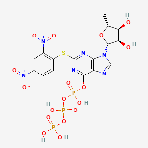 molecular formula C16H17N6O17P3S B1219759 [9-[(2R,3R,4S,5R)-3,4-dihydroxy-5-methyloxolan-2-yl]-2-(2,4-dinitrophenyl)sulfanylpurin-6-yl] [hydroxy(phosphonooxy)phosphoryl] hydrogen phosphate CAS No. 51640-19-8