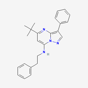 molecular formula C24H26N4 B12198534 5-tert-butyl-3-phenyl-N-(2-phenylethyl)pyrazolo[1,5-a]pyrimidin-7-amine 