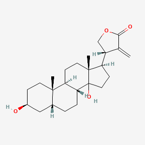 molecular formula C24H36O4 B1219888 (4S)-4-[(3S,5R,8R,9S,10S,13R,17R)-3,14-dihydroxy-10,13-dimethyl-1,2,3,4,5,6,7,8,9,11,12,15,16,17-tetradecahydrocyclopenta[a]phenanthren-17-yl]-3-methylideneoxolan-2-one CAS No. 69489-48-1