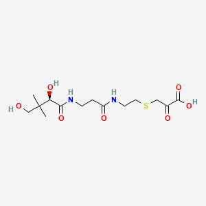 molecular formula C14H24N2O7S B1219912 Pantetheine-3-pyruvate CAS No. 89648-14-6