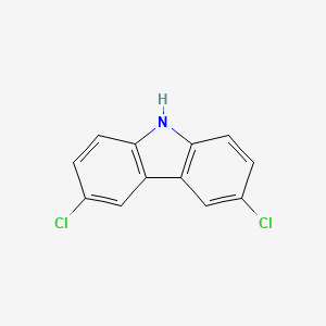 molecular formula C12H7Cl2N B1220011 3,6-Dichlorocarbazole CAS No. 5599-71-3