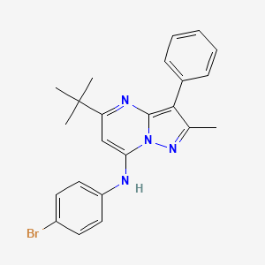 molecular formula C23H23BrN4 B12201106 N-(4-bromophenyl)-5-tert-butyl-2-methyl-3-phenylpyrazolo[1,5-a]pyrimidin-7-amine 