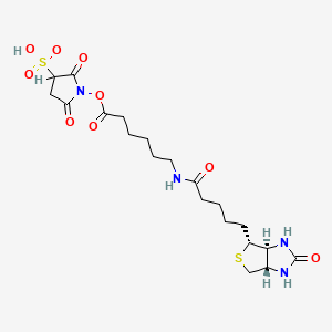 molecular formula C20H30N4O9S2 B1220122 Sulfosuccinimidyl 6-(biotinamido)hexanoate CAS No. 109940-19-4