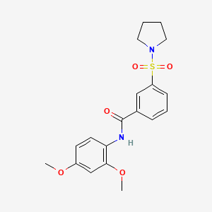molecular formula C19H22N2O5S B12202388 N-(2,4-dimethoxyphenyl)-3-(pyrrolidine-1-sulfonyl)benzamide 