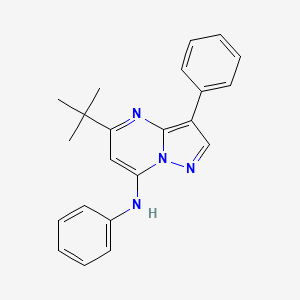 molecular formula C22H22N4 B12203531 5-tert-butyl-N,3-diphenylpyrazolo[1,5-a]pyrimidin-7-amine 