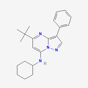 molecular formula C22H28N4 B12204546 5-tert-butyl-N-cyclohexyl-3-phenylpyrazolo[1,5-a]pyrimidin-7-amine 