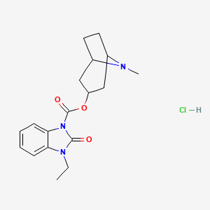 molecular formula C18H24ClN3O3 B1220700 (endo-8-Methyl-8-azabicyclo(3.2.1)oct-3-yl)-2,3-dihydro-3-ethyl-2-oxo-1H-benzimidazole-1-carboxylate hydrochloride CAS No. 127595-11-3