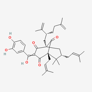 molecular formula C38H50O6 B1220767 (1R,5S,7S)-3-[(3,4-dihydroxyphenyl)-hydroxymethylidene]-6,6-dimethyl-5,7-bis(3-methylbut-2-enyl)-1-[(2R)-5-methyl-2-prop-1-en-2-ylhex-5-enyl]bicyclo[3.3.1]nonane-2,4,9-trione 