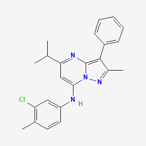 molecular formula C23H23ClN4 B12207898 N-(3-chloro-4-methylphenyl)-2-methyl-3-phenyl-5-(propan-2-yl)pyrazolo[1,5-a]pyrimidin-7-amine 