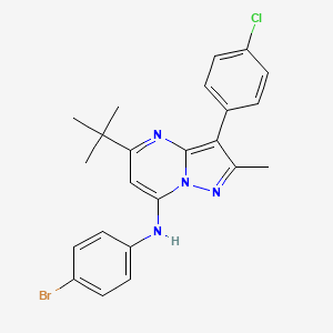 molecular formula C23H22BrClN4 B12209947 N-(4-bromophenyl)-5-tert-butyl-3-(4-chlorophenyl)-2-methylpyrazolo[1,5-a]pyrimidin-7-amine 