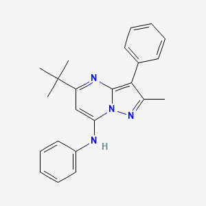 molecular formula C23H24N4 B12211171 5-tert-butyl-2-methyl-N,3-diphenylpyrazolo[1,5-a]pyrimidin-7-amine 