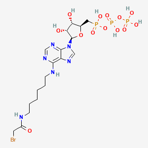 N(6)-(6-Bromoacetamidohexyl)-amp.pcp