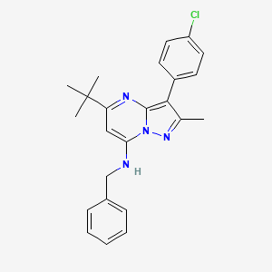 molecular formula C24H25ClN4 B12213355 N-benzyl-5-tert-butyl-3-(4-chlorophenyl)-2-methylpyrazolo[1,5-a]pyrimidin-7-amine 