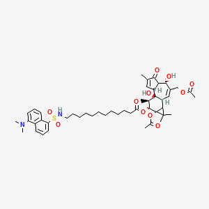 molecular formula C48H66N2O11S B1221402 (1Bs,4s,7ar,7br,8r,9r)-9a-(acetyloxy)-3-[(acetyloxy)methyl]-4,7b-dihydroxy-1,1,6,8-tetramethyl-5-oxo-1a,1b,4,4a,5,7a,7b,8,9,9a-decahydro-1h-cyclopropa[3,4]benzo[1,2-e]azulen-9-yl 12-({[5-(dimethylamino)naphthalen-1-yl]sulfonyl}amino)dodecanoate CAS No. 98897-16-6