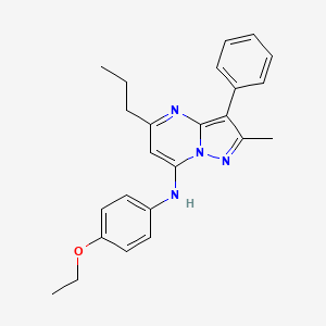 molecular formula C24H26N4O B12215167 N-(4-ethoxyphenyl)-2-methyl-3-phenyl-5-propylpyrazolo[1,5-a]pyrimidin-7-amine 