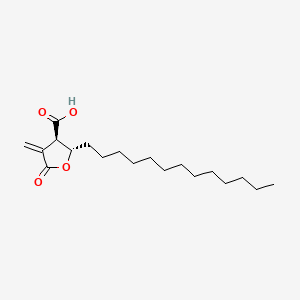 molecular formula C19H32O4 B1221547 (+)-Protolichesterinic acid CAS No. 493-46-9