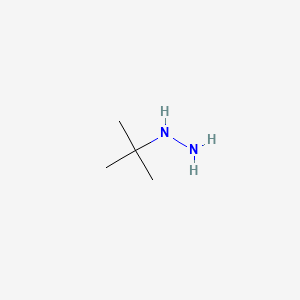molecular formula C4H12N2 B1221602 tert-Butylhydrazine CAS No. 32064-67-8