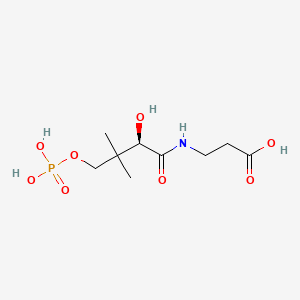 molecular formula C9H18NO8P B1221703 Phosphopantothenic acid CAS No. 5875-50-3